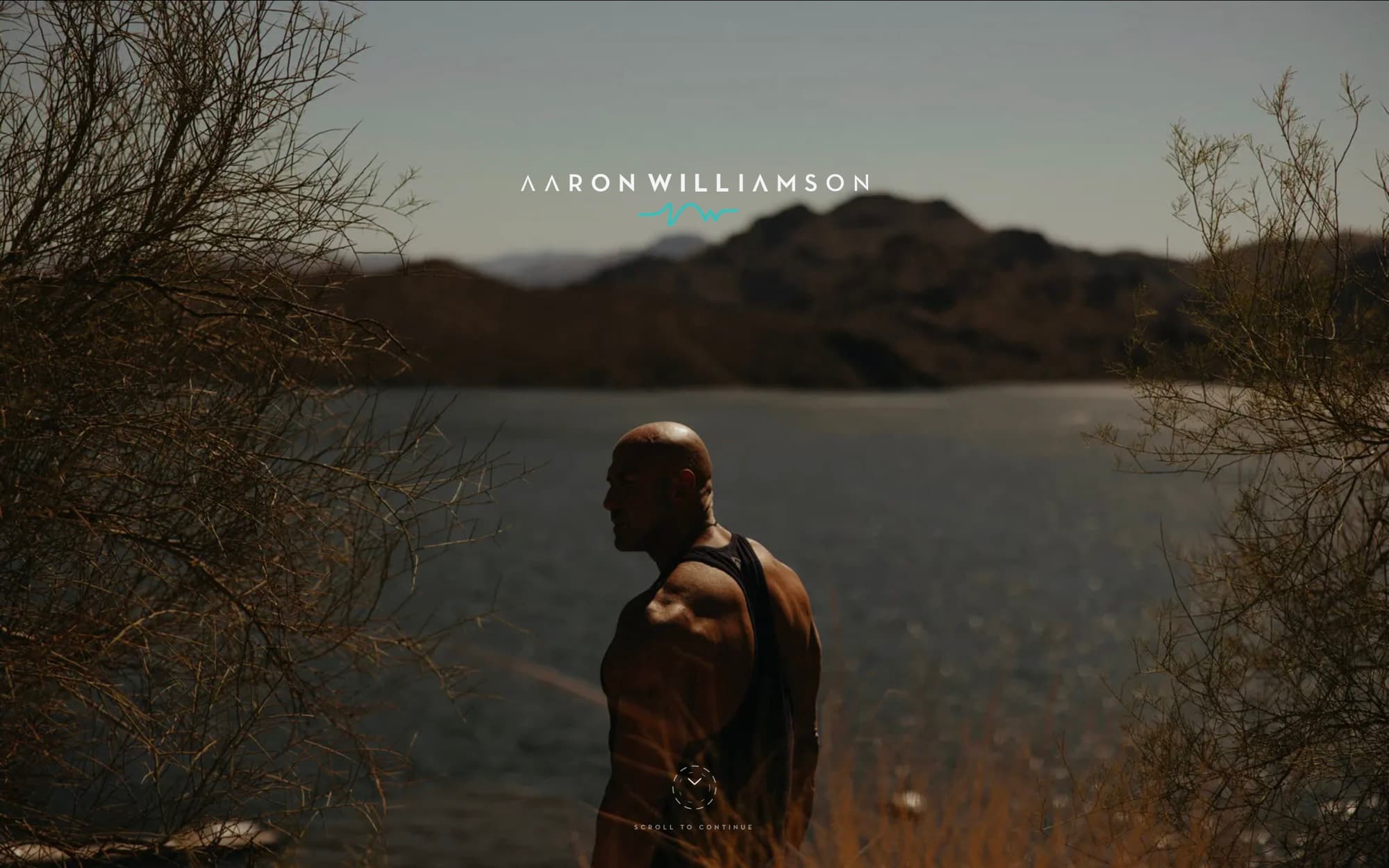 Aaron Williamson, website by Paper Apothecary & Co.